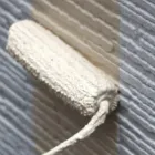 コンセプト